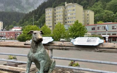 Juneau Alaska’s Beloved Canine Celebrity