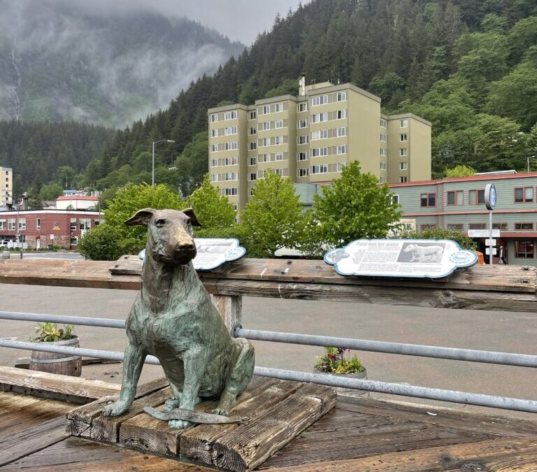 Juneau Alaska’s Beloved Canine Celebrity